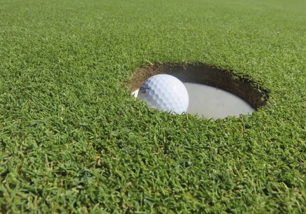 golf-ball-in-a-hole
