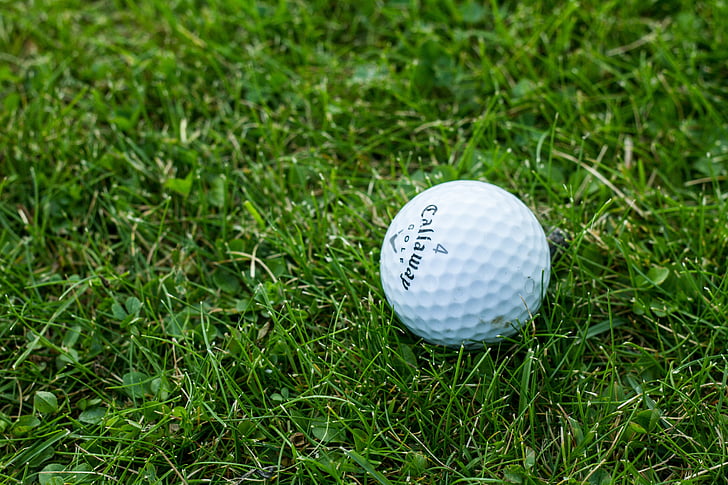 close-up-of-callaway