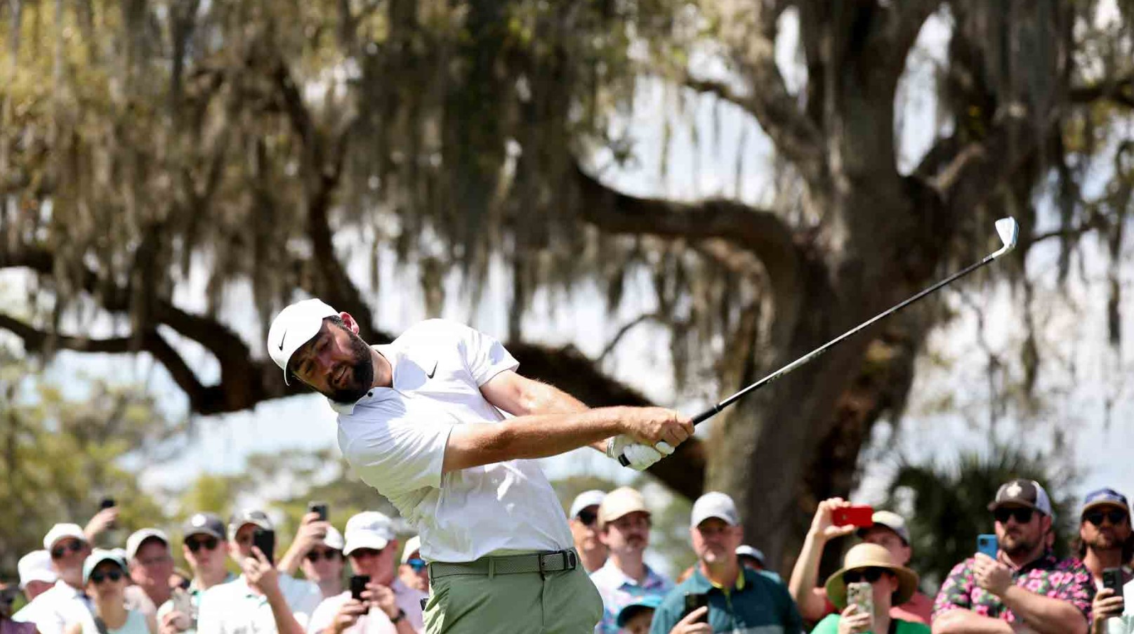 2024 Players Championship: Payouts and Earnings for Each Player