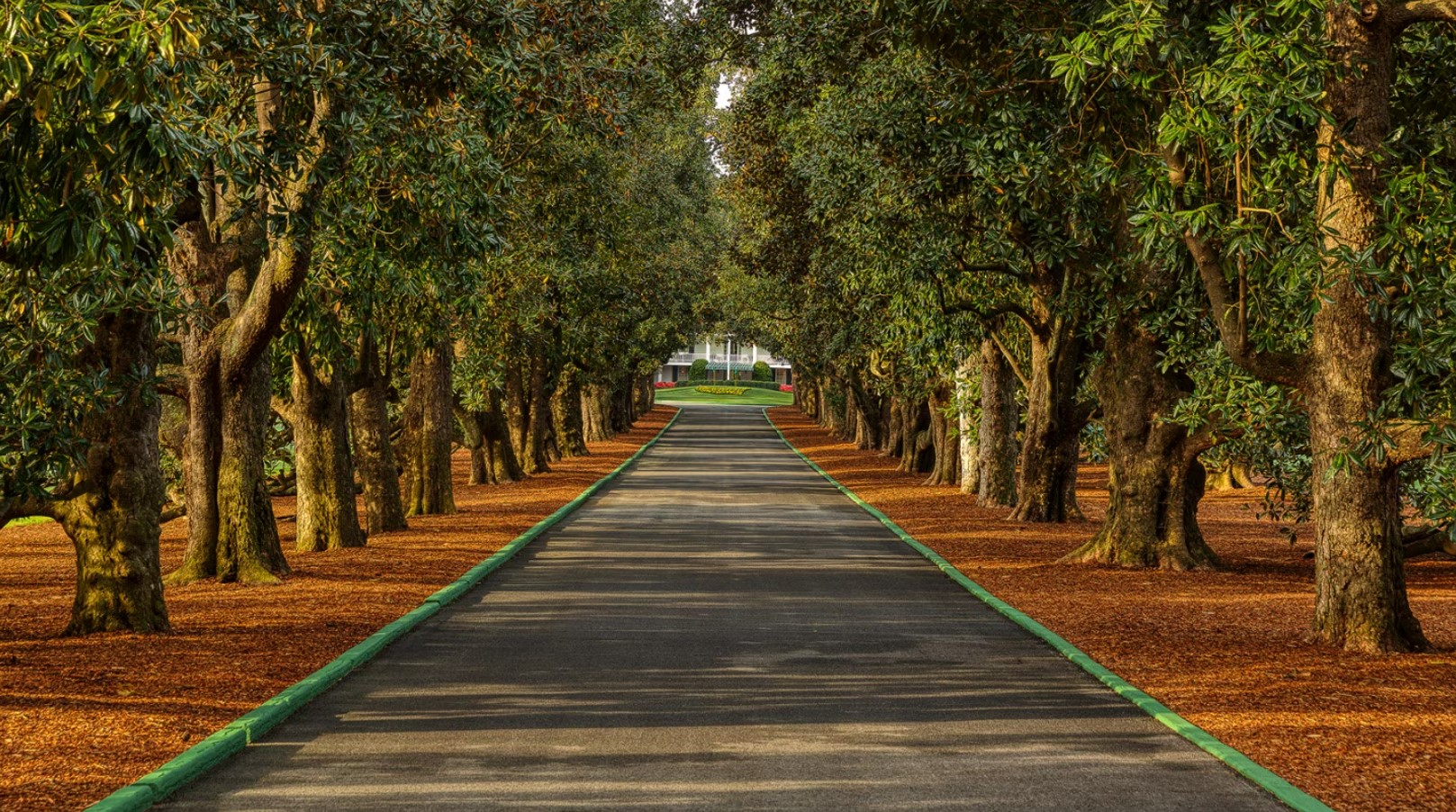 The Magnolia: A Lengthened Beauty on Augusta National’s Front Nine