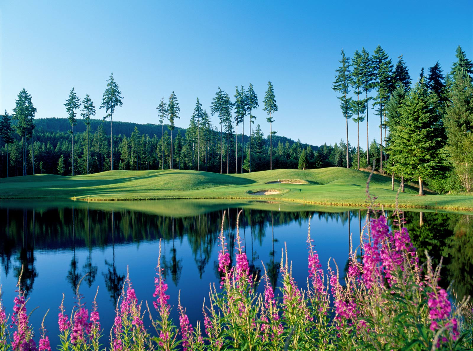 Visit These Popular Golf Courses near Bremerton-Silverdale, WA