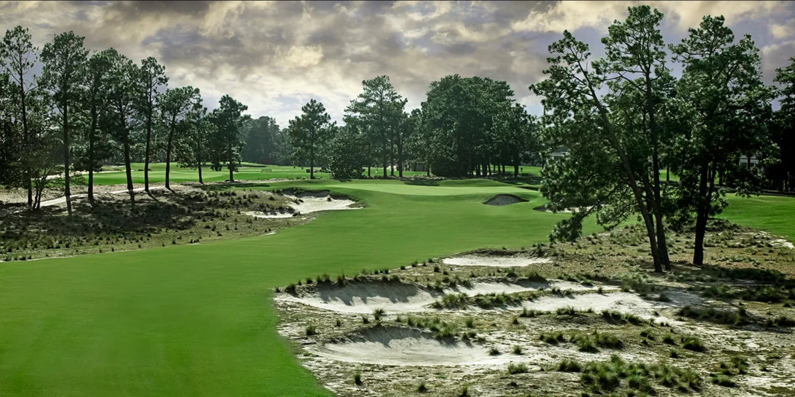 Discover premier golf at Pinehurst Resort: Explore Donald Ross’s No. 2, Tom Doak’s new No. 10, and Gil Hanse’s redesigned No. 4 for an unmatched golfing experience.