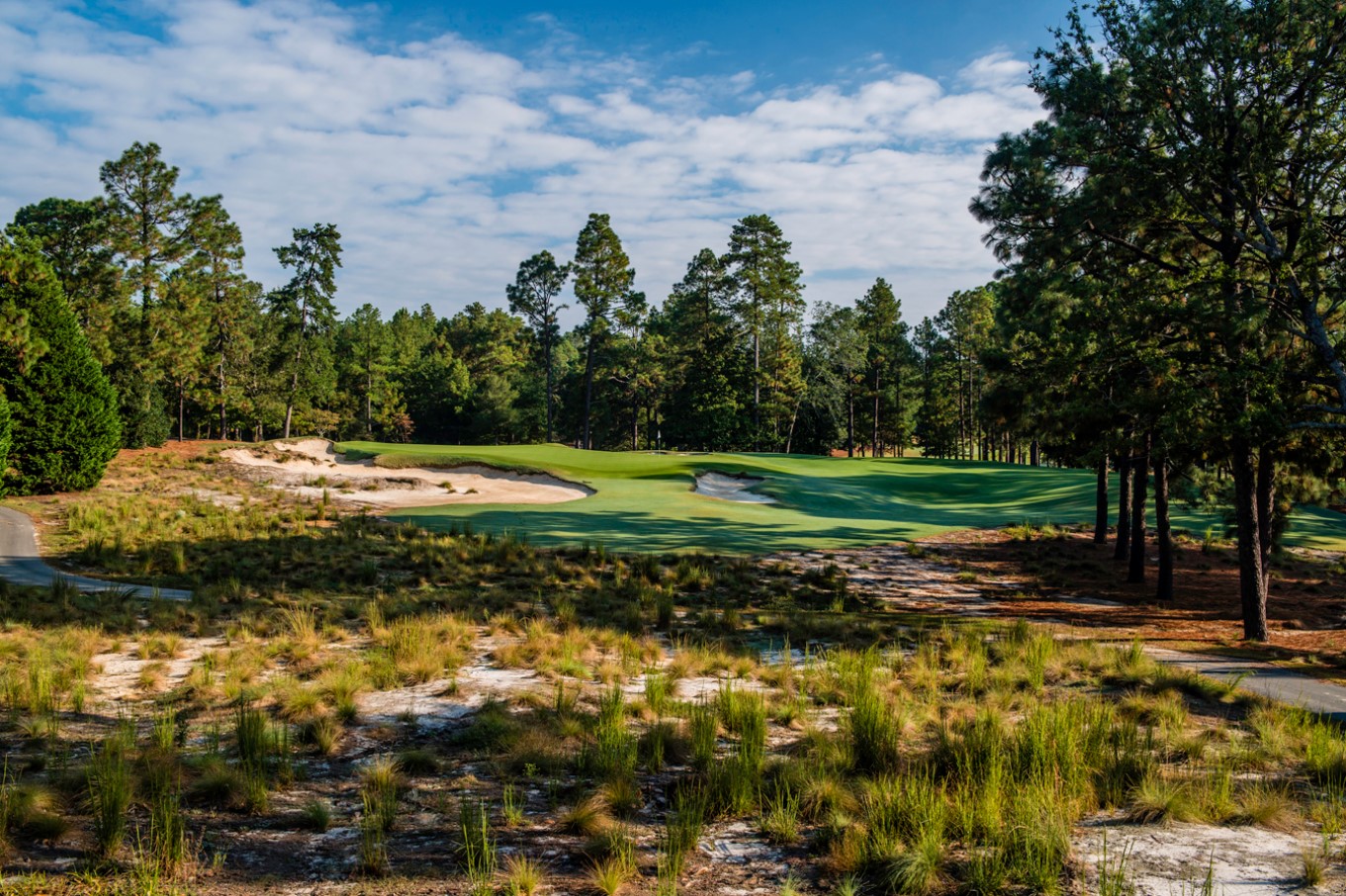 Discover Pinehurst No. 2’s golf design by Donald Ross. A celebrated course renowned for challenging greens and strategy.