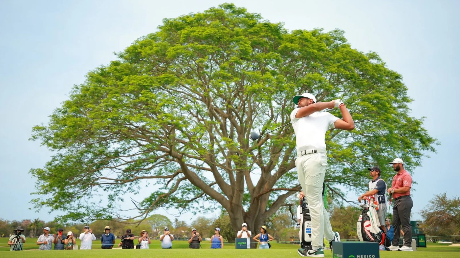 Discover key insights into top golfers dominating 2024’s PGA tournaments: Conners, Finau, Cantlay triumph.