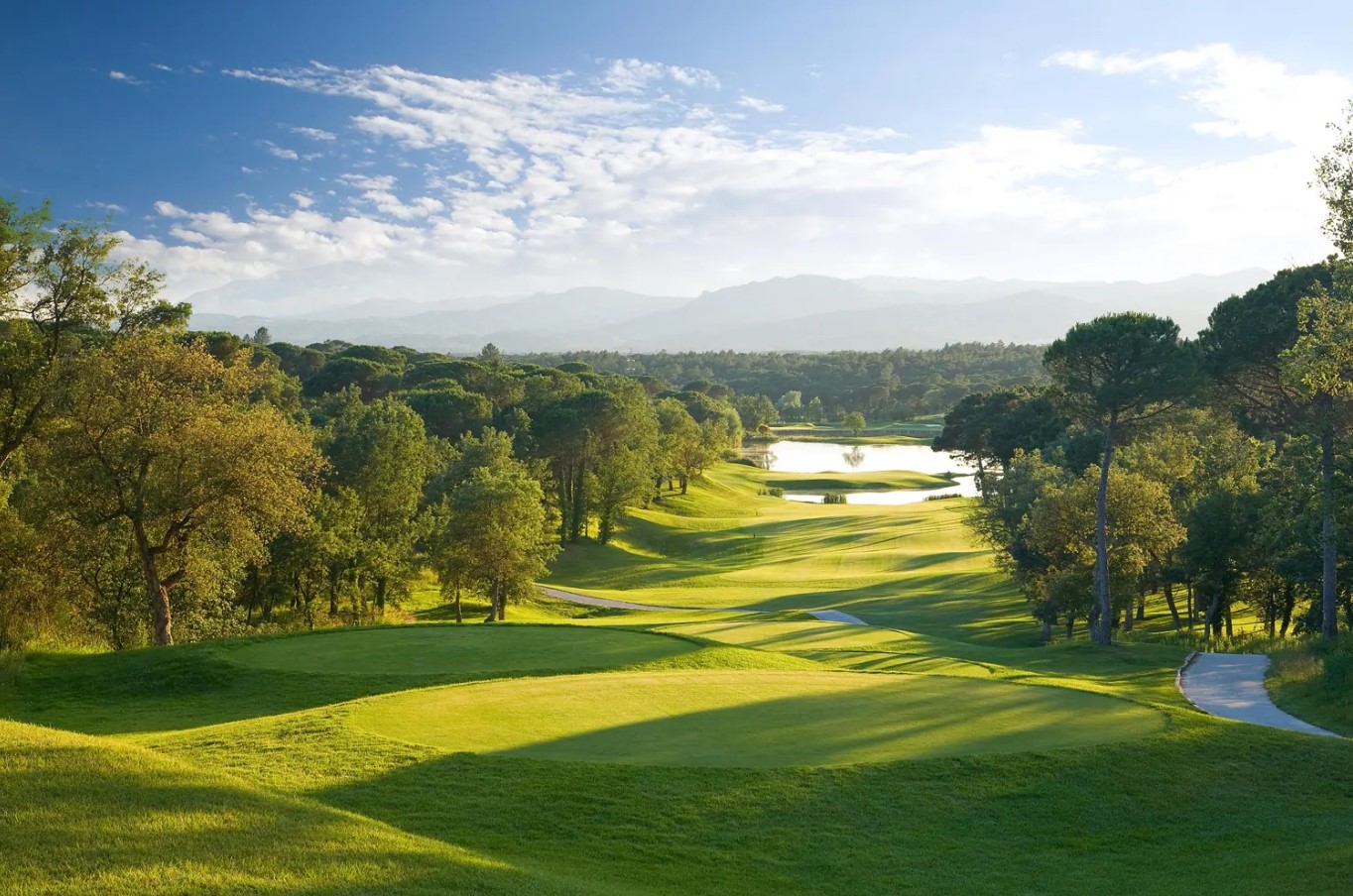 Discover Tennessee’s top public and private golf courses with our expert ratings on accessibility, design, and playability. Perfect your game at the state’s best greens.