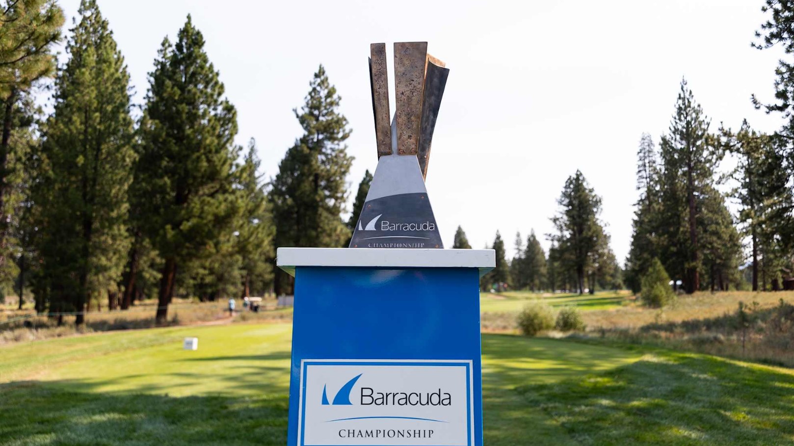 Explore the challenges and impacts of the PGA and DP World Tour alliance on tournament fairness and player experiences at the Barracuda Championship