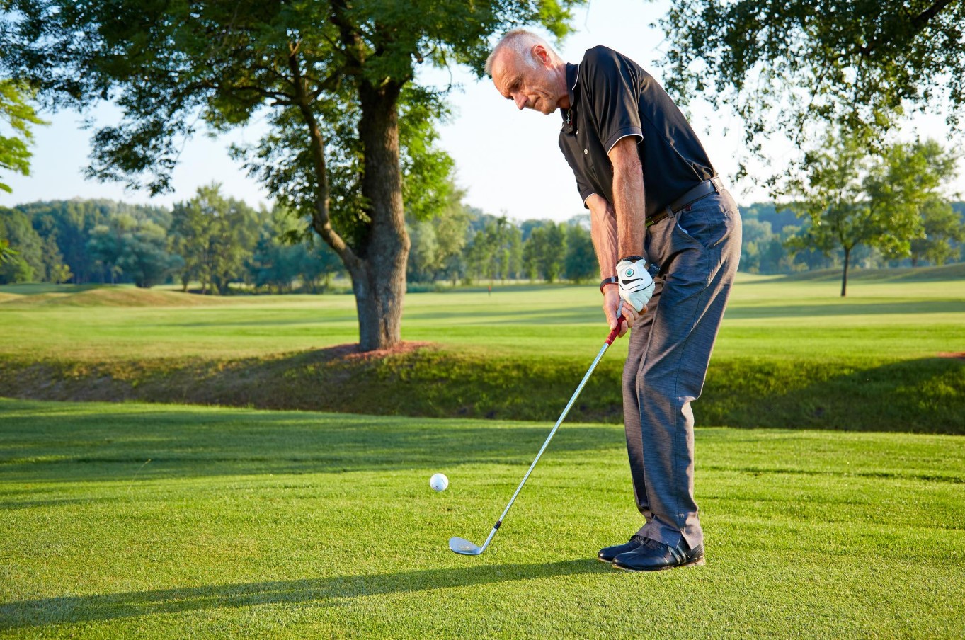 Mastering the Short Game: Essential Tips for Chipping and Pitching