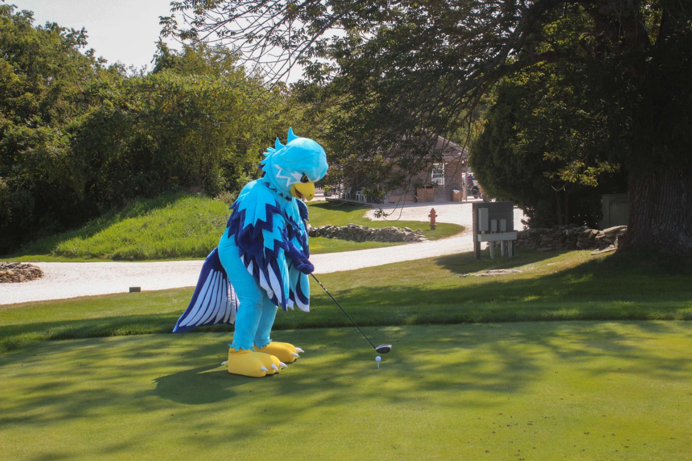 Expanding Horizons: New Varsity Sports at Roger Williams University